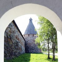 У стен монастыря :: Ольга 