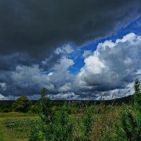 Перед дождем. :: Владимир Михайлович Дадочкин