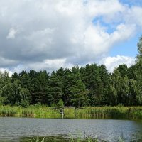 Пригородные озёра (из поездок по области). :: Милешкин Владимир Алексеевич 