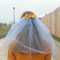 Невеста :: Анастасия Мишина 