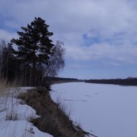 Обская протока :: Олег Афанасьевич Сергеев