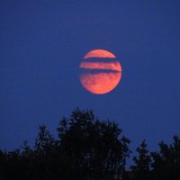 Луна в полоску :: Константин Ординарцев