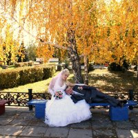 Осенняя свадьба :: Владимир Помазан
