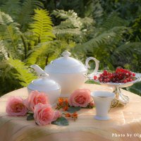 Чай на свежем воздухе :: Ольга Бекетова