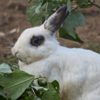 Фото для умиления -:)) :: Александр Запылёнов