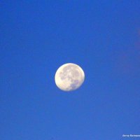 Луна убывающая на утреннем небе. :: Валерьян Запорожченко
