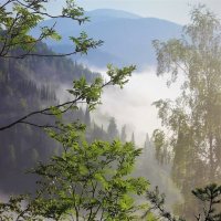 Поутру в долине туман :: Сергей Чиняев 