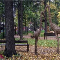 Дендропарк "Русский огород"  Ижевск. Парк космонавтов.  Сентябрь 2019 г. :: muh5257 