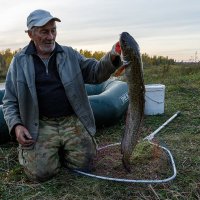 Старик и рыба. :: Евгений Голубев