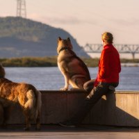 Созерцая прекрасное. :: Виктор Иванович Чернюк