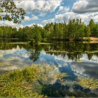Лесное озеро, осень :: Андрей Дворников