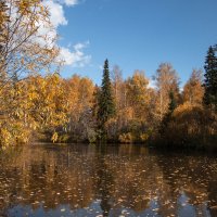 Палитра осени :: Вадим Басов