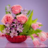 Розы и тюльпаны на фиолетовом фоне :: Ольга Бекетова