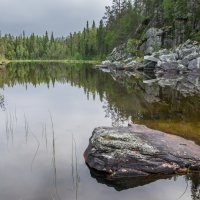 Пизанец. Карелия. :: Наталия Владимирова