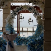 Свадьба на берегу моря :: Наталья (D.Nat@lia)
