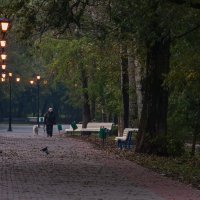 В осеннем парке городском :: Валерий Иванович