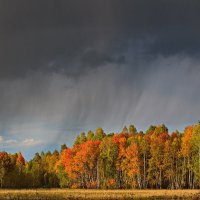 Осень 2019 :: Андрей (Skiff) Звонарёв