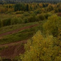 Золотые краски осени :: Наталья Короваевич