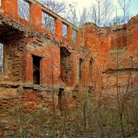 Руины флигеля замка Гердауэн :: Сергей Карачин