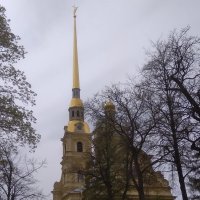 Петропавловский собор :: Svetlana Lyaxovich