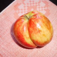 Мои яблоки. :: Венера Чуйкова