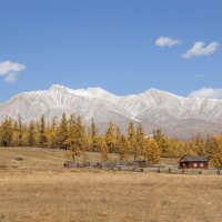 Гора Мунку-Сардык со стороны Монголии :: Ирина Коледова