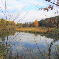 Осенний пейзаж на реке Химка :: Евгений Седов