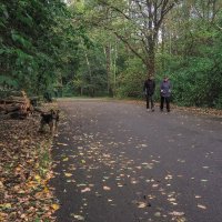 Прогулки в Осеннем Парке :: юрий поляков