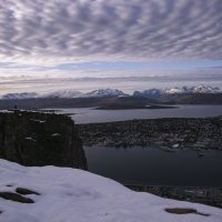 У Арктики на пороге :: liudmila drake