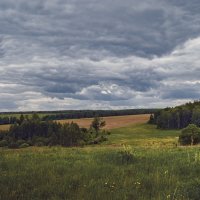 Вижу чудное приволье... :: Нина Богданова