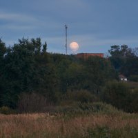 Лунным вечером ... :: Евгений Хвальчев