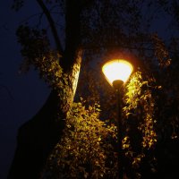 Ночь, улица, фонарь ... :: Андрей Лукьянов