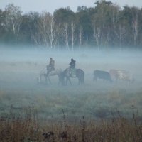 В утреннем тумане :: Светлана Рябова-Шатунова