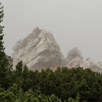 Доломитовые Альпы. Кортина д'Ампеццо. На горе Фалория. :: Надежда Лаптева