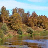 Осень золотая. Река Теза. :: Сергей Пиголкин