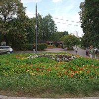 Осень в Коломенском. :: Владимир Драгунский