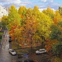 " Краски осени" :: Роланд Дубровский