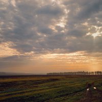 раннее утро :: Нина Богданова