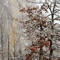 Зима на Тёплицзее :: Милана Гиличенски 