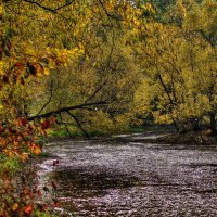 Осенняя грусть :: Наталья Лакомова