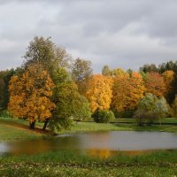 живопись осени :: Елена 