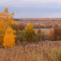 Осенние виды :: Андрей Зайцев