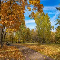 В осеннем парке :: Владимир Жданов