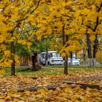 Осень в городе :: Игорь Волков