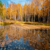 Золото природы :: Денис Донской