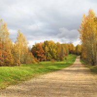 Дорога в осень.. :: Ольга Митрофанова