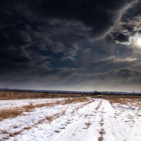 Мрак и стужа зимних полей. :: Шурф Сьлядек 