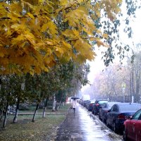 Осень в городе :: Alexander Borisovsky