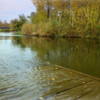 Желтым  листиком в реке утонуло лето... :: Нэля Лысенко