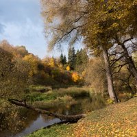 р.Протва :: Владимир Безбородов